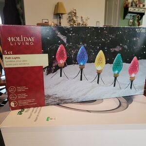 Multicolor Path Lights For CHRISTMAS